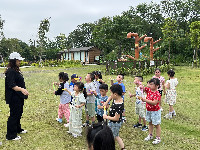 S__135938146_0
