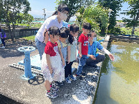 S__61702181_0