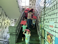 S__128229390_0