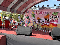 S__145981462_0