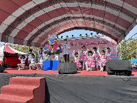 S__145981480_0