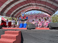 S__145981490_0