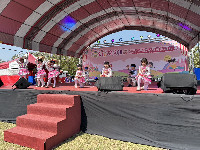 S__145981503_0