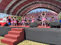 S__145981504_0