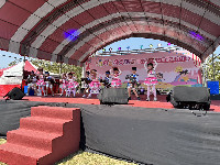 S__145981505_0