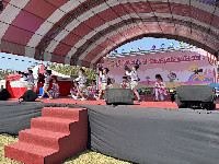 S__145981508_0