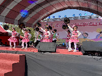 S__145981554_0