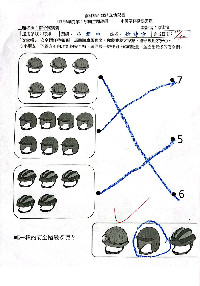 S__165961746_0